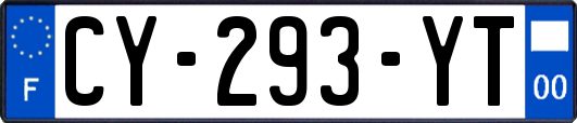 CY-293-YT