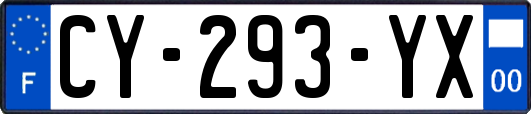CY-293-YX