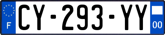 CY-293-YY