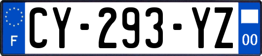 CY-293-YZ