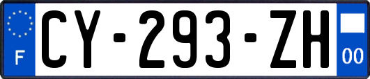 CY-293-ZH