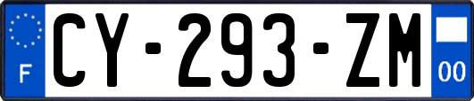 CY-293-ZM
