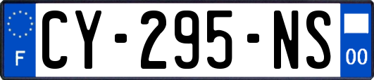 CY-295-NS