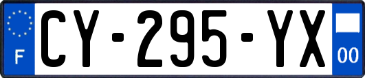 CY-295-YX