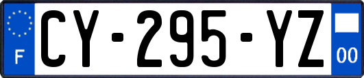 CY-295-YZ