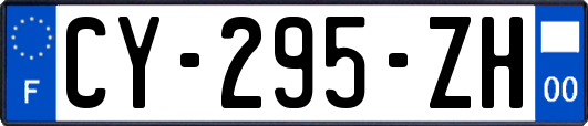 CY-295-ZH