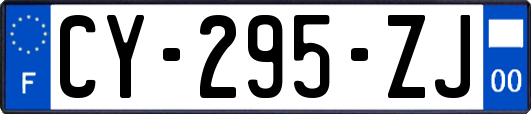 CY-295-ZJ