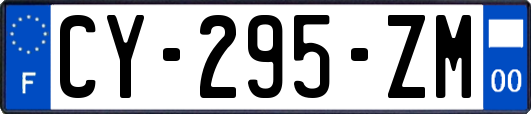 CY-295-ZM