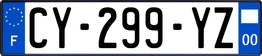 CY-299-YZ
