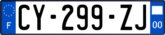 CY-299-ZJ
