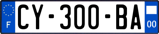 CY-300-BA