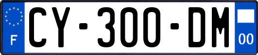CY-300-DM