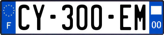 CY-300-EM