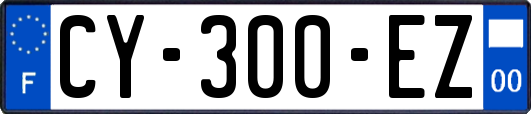 CY-300-EZ