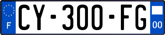 CY-300-FG