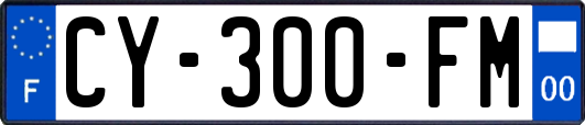 CY-300-FM