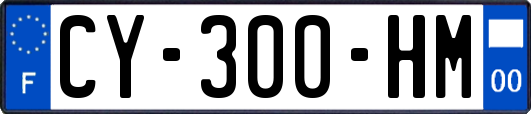 CY-300-HM