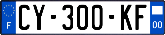 CY-300-KF