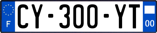 CY-300-YT