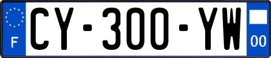 CY-300-YW