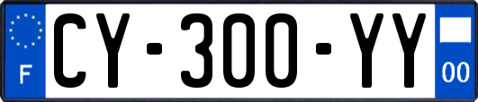 CY-300-YY