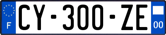 CY-300-ZE