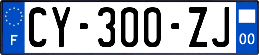CY-300-ZJ