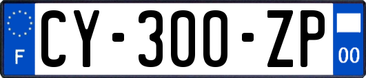 CY-300-ZP