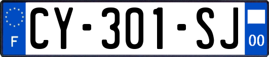 CY-301-SJ