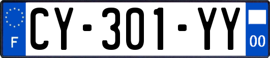 CY-301-YY