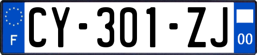 CY-301-ZJ