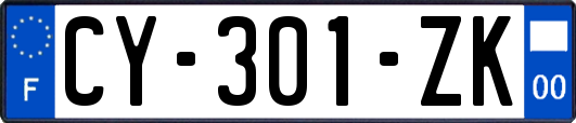 CY-301-ZK