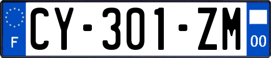 CY-301-ZM