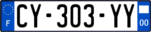 CY-303-YY
