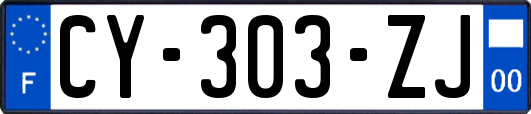 CY-303-ZJ