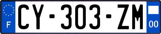 CY-303-ZM