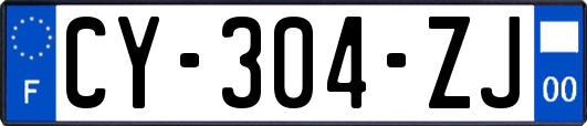 CY-304-ZJ