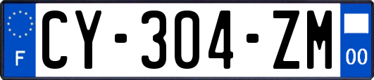 CY-304-ZM