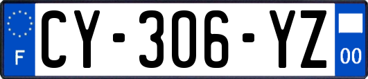 CY-306-YZ