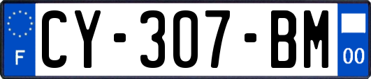 CY-307-BM