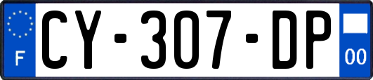 CY-307-DP