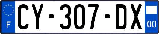 CY-307-DX