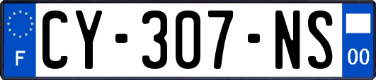 CY-307-NS