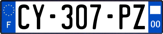 CY-307-PZ