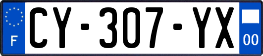 CY-307-YX