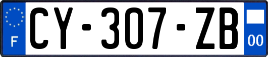 CY-307-ZB