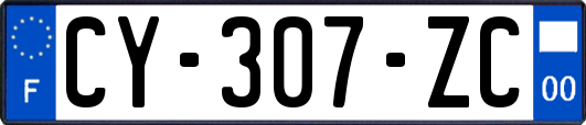 CY-307-ZC
