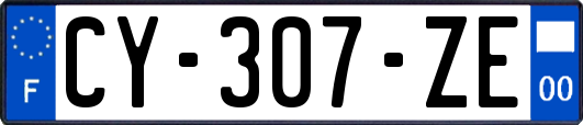 CY-307-ZE