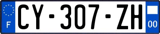 CY-307-ZH