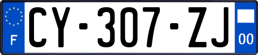 CY-307-ZJ